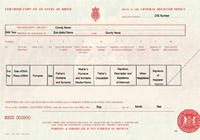 Sample of a Birth Certificate